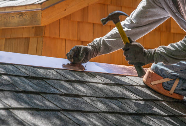 Best Roof Maintenance and Cleaning  in Raleigh, NC